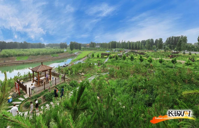 航拍雄县雄山公园。雄县摄影家协会供图