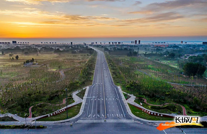 清晨的雄县城边公园。雄县摄影家协会供图