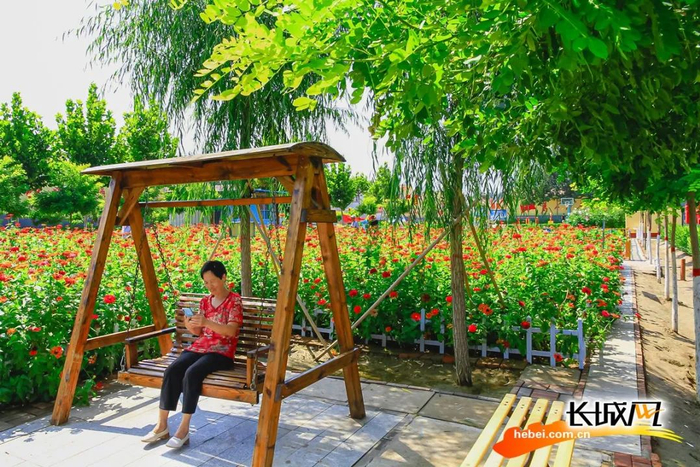 正在雄县龙湾镇张青口三村和谐园秋千上休憩的村民。雄县摄影家协会供图