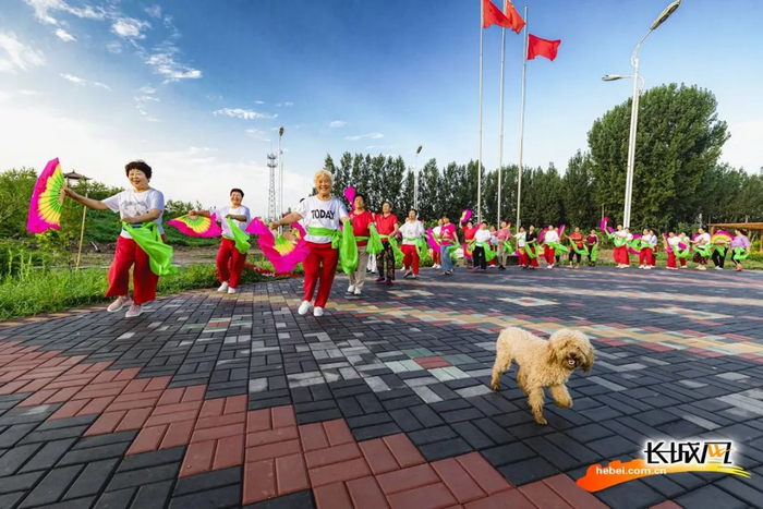 清晨在雄县东槐公园跳广场舞的村民们。雄县摄影家协会供图