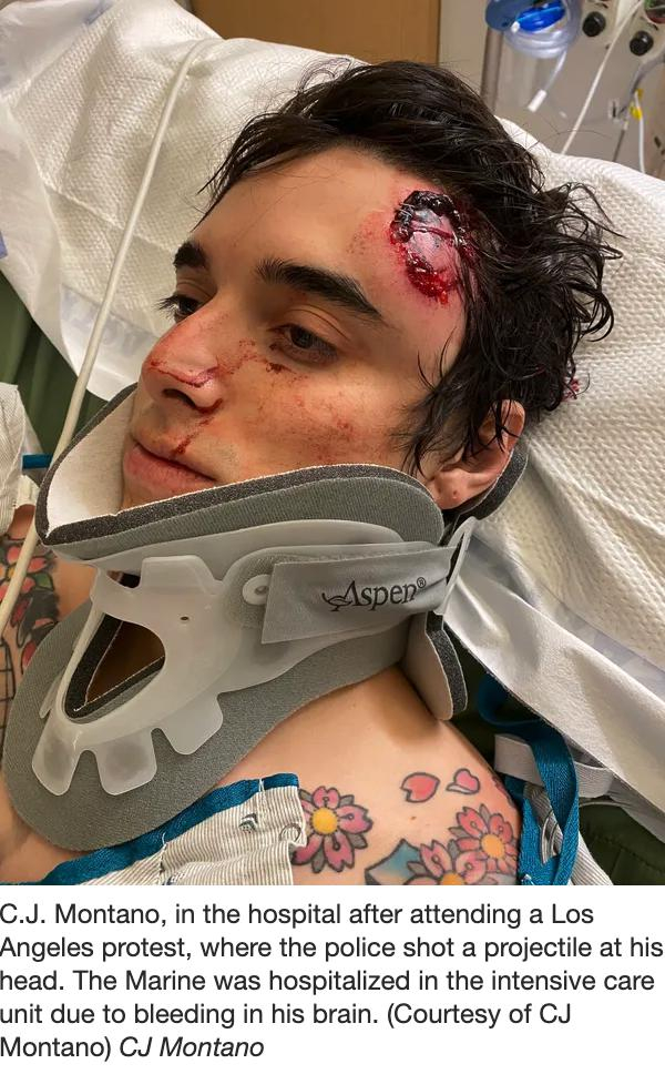 △图片由C.J. 蒙塔诺提供