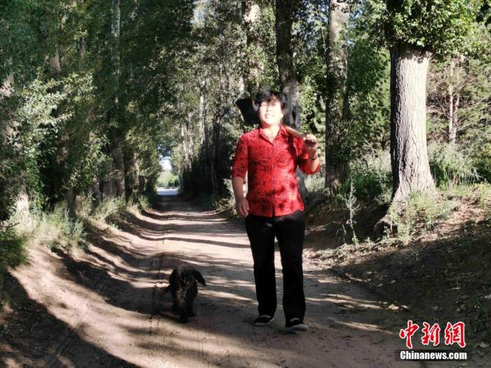 殷玉珍在毛乌素沙地里种植了杨柳树、松柏树等几百万株植物，将6万多亩荒沙变成了生命绿洲  党田野摄