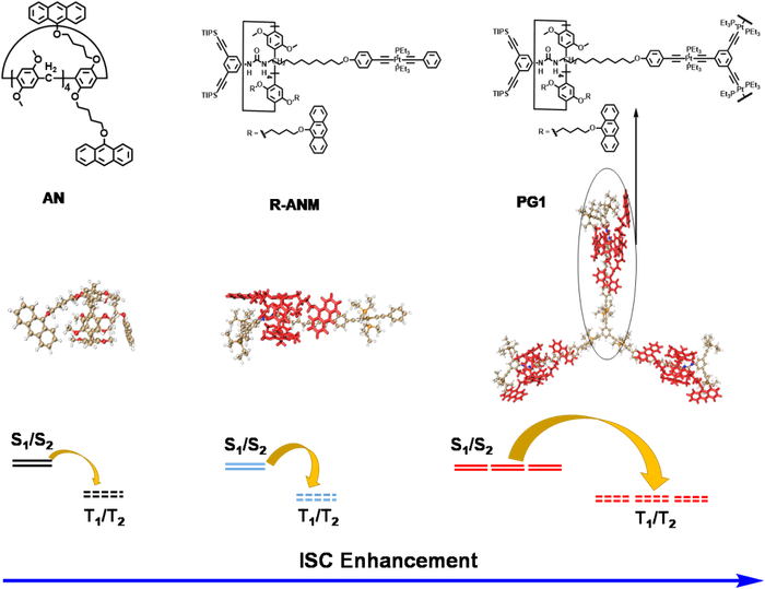 ▲ 图3. 理论计算验证光敏化增强的机理