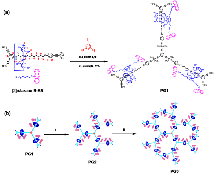 ▲ 图2.（a）第一代轮烷树状分子的合成路线，（b）第二、三代轮烷树状分子的合成示意图