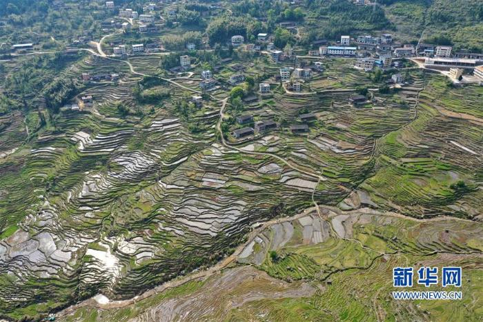 福建省三明市尤溪县联合镇梯田及民居（4月10日摄，无人机照片）  新华社记者 姜克红摄