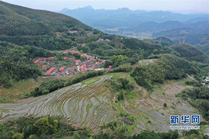 福建省三明市梅列区洋溪镇饱饭坑村梯田及民居（4月8日摄，无人机照片）  新华社记者 姜克红摄