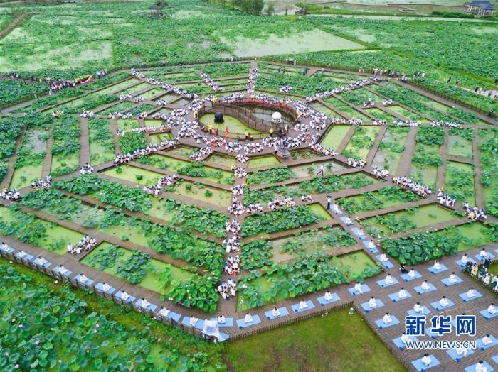 在福建省三明市建宁县均口镇修竹村，游客在千亩莲田体验瑜伽和白莲制作（2019年7月6日摄）  新华社记者 宋为伟摄