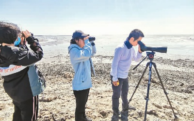 科考人员在对滦南滩涂内的鸟类迁徙情况进行调查  贺吉立摄