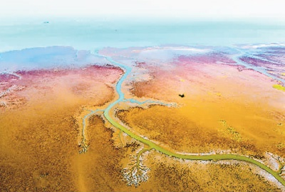 东营河海相汇，不断形成新生湿地  黄高潮摄