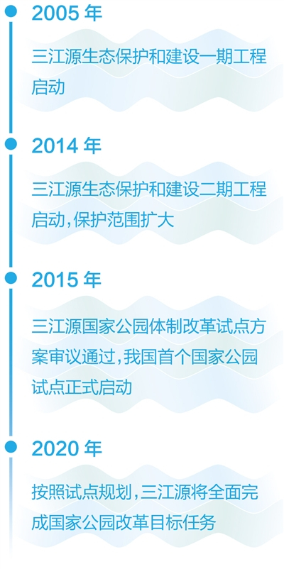 玉珠峰下可可西里的藏羚羊。　本报记者  姜  峰摄