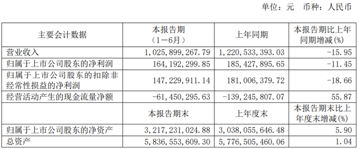 （图片来源：ST舍得2020年上半年财报）