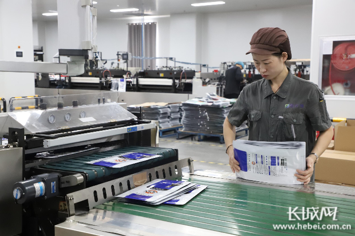 智优捷包装材料有限公司的生产车间在生产8边封宠物食品包装。 通讯员 赵哲 摄