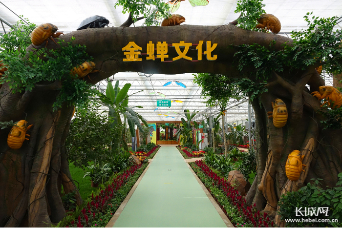 故城以岭康养庄园内的中国金蝉文化馆内景。
