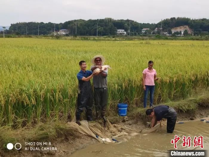 厄瓜多尔农业专家在湖南长沙参加稻鸭养殖系统培训课程。世界粮食计划署供图