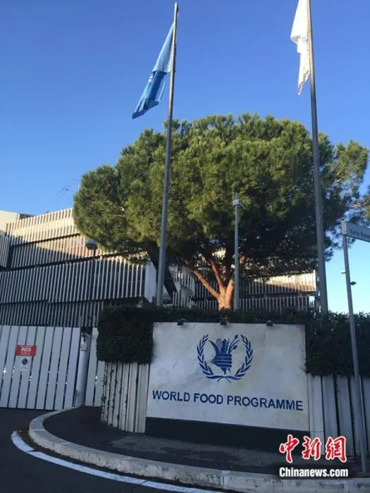 图为意大利罗马世界粮食计划署总部。世界粮食计划署供图
