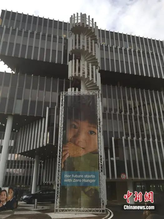 图为意大利罗马世界粮食计划署总部。世界粮食计划署供图