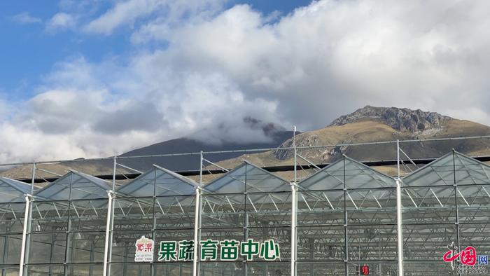 现代化的石渠观光生态农业科技示范园“果蔬育苗中心”，背后就是雪山。中国网记者胡俊 摄