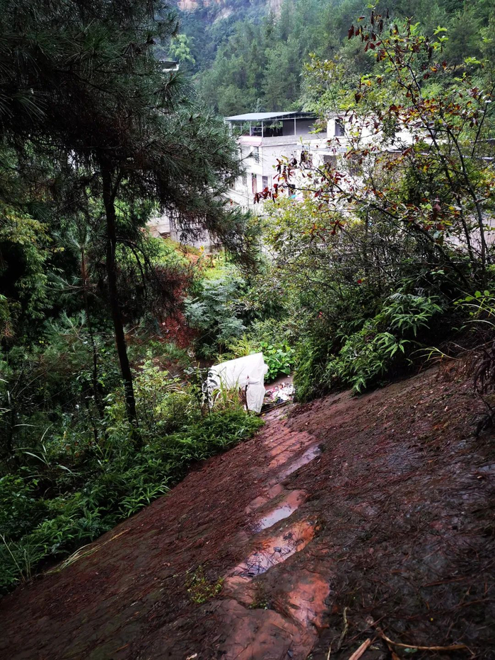 ▲水库上游张姓人家后的陡峭梯子