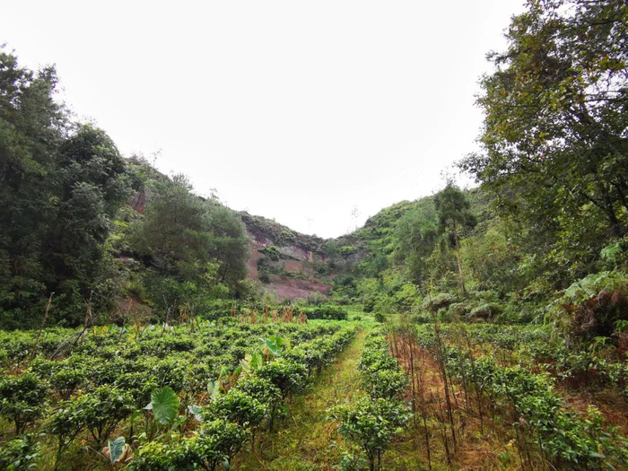 ▲蛮王寨西侧的山间小盆地