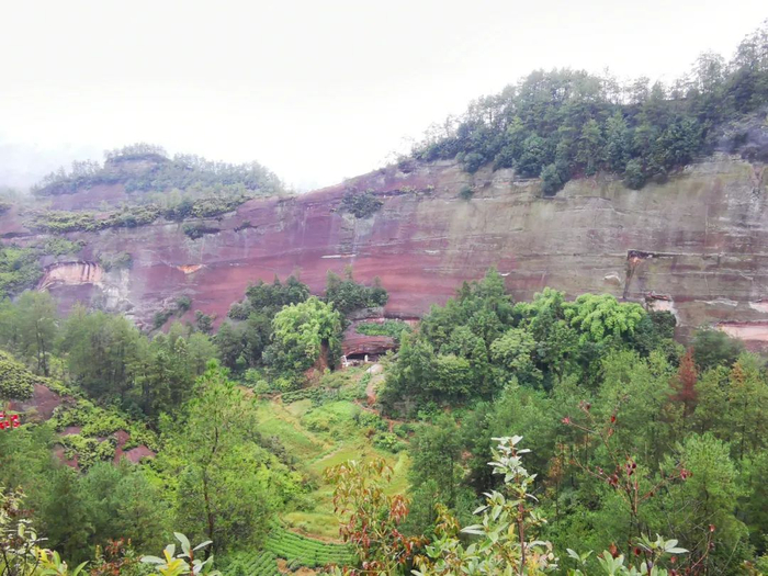 ▲艳山红掩映的刘姓崖居人家