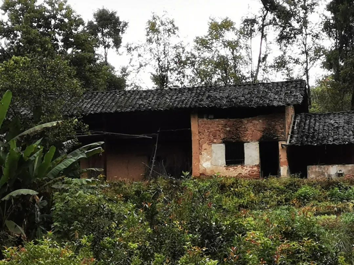 ▲三根树附近丹霞地貌、道路及民居