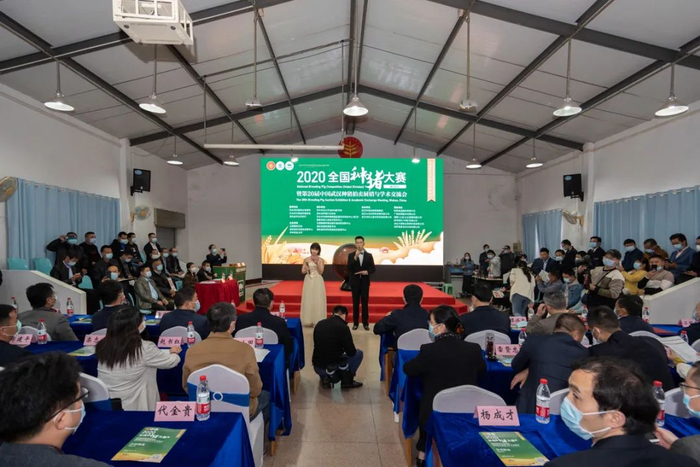 ▲拍卖会现场全景（刘博文 摄）