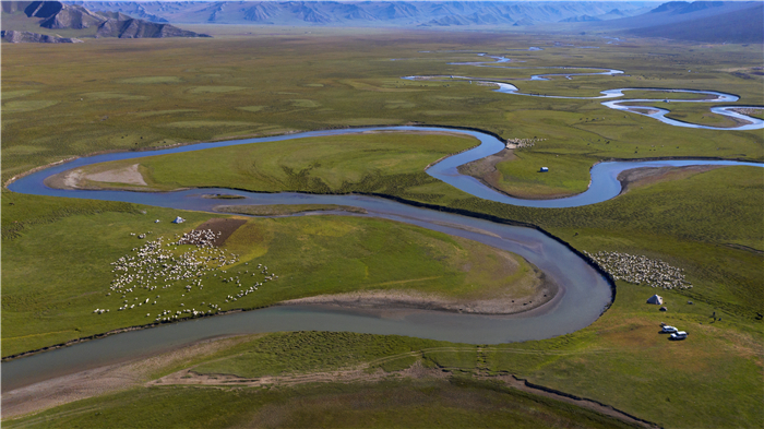 经历艰难跋涉，牧民们赶着牲畜到达秋牧场，星星点点的毡包如同雨后春笋，散落在山谷四处，“转场大片”也随之谢幕。（和静县纪委监委 文/王金花 图/李斌、肖永浩 | 责任编辑 宋歌）
