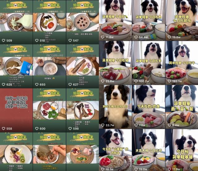 同一个账号前后期的风格变化，流量也呈两极