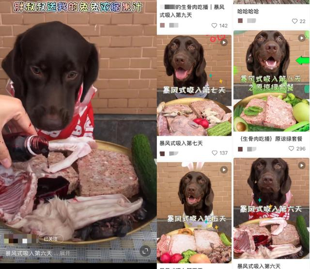 博主在留言区解释，兔兔浓缩果汁就是兔血