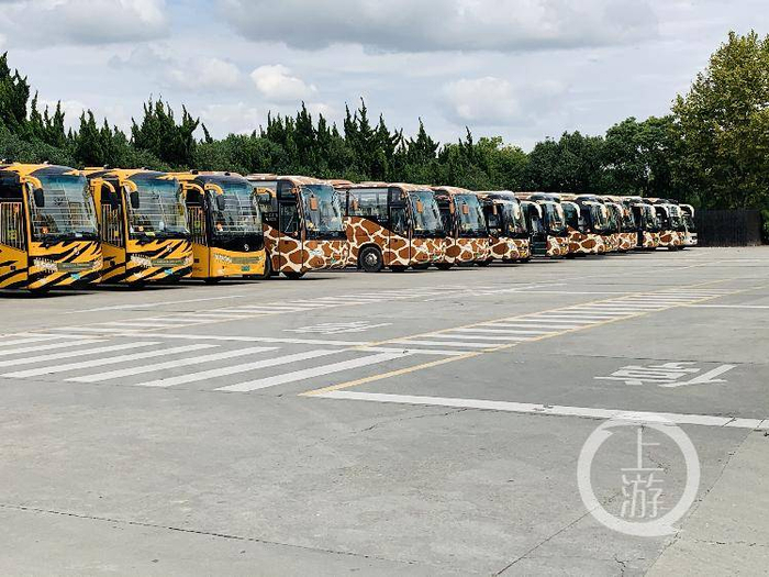 ▲猛兽区临时关闭，园区大巴停摆。摄影/上游新闻记者 时婷婷