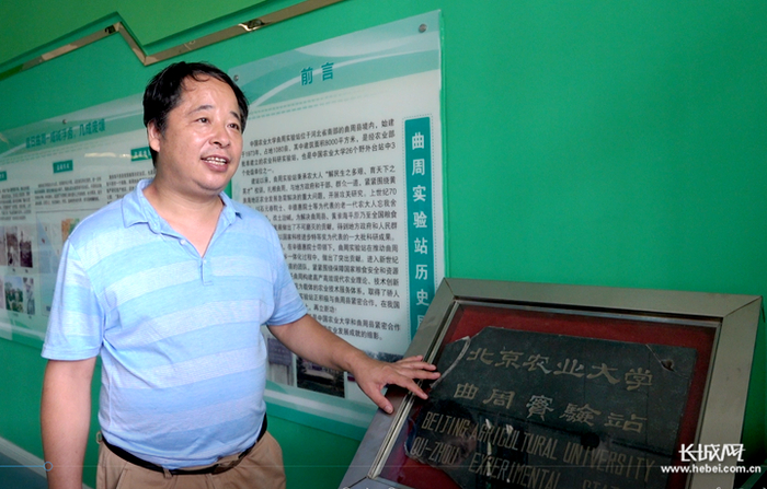 中国农业大学曲周实验站副站长张宏彦。长城网记者 刘延丽 摄