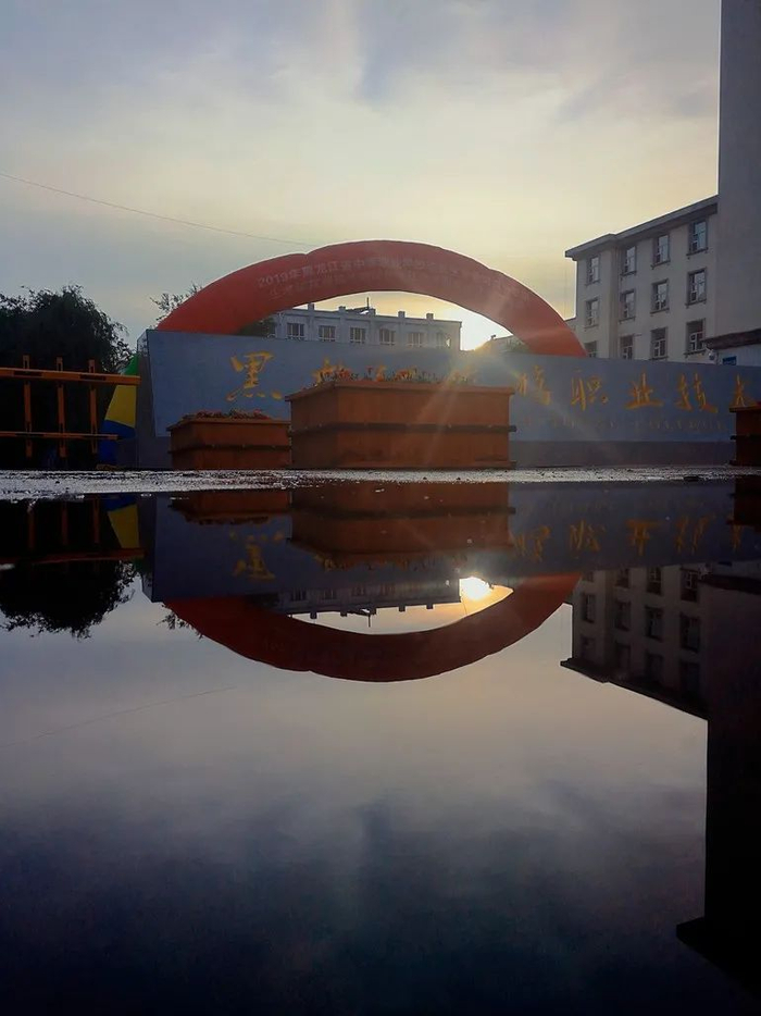 校园里的树时而随风摇摆；