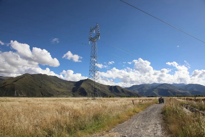 ▲东布岗村冬小麦麦田