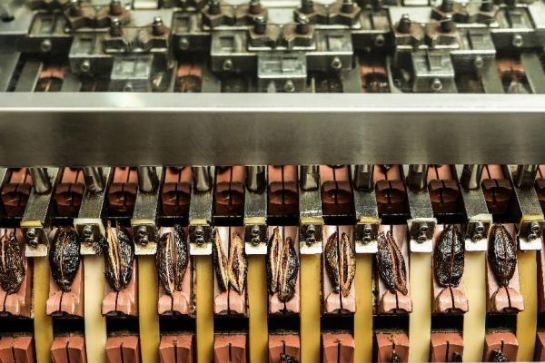 和成天下切籽工艺