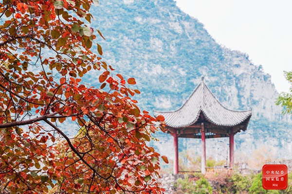 荆溪白石出，天寒红叶稀。（河南省博爱县纪委监委供 张祥瑞 摄）