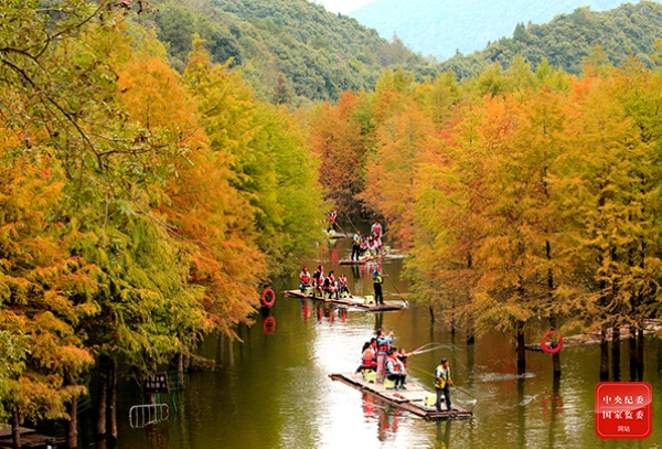 碧云天，黄叶地，秋色连波，波上寒烟翠。（安徽省亳州市纪委监委供 程伟如 摄）