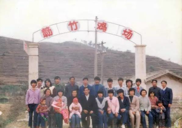 簕竹鸡场位于广东云浮新兴县簕竹镇 图/温氏股份官方微信