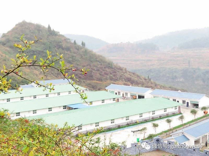 温氏养殖小区 图/温氏股份官方微信