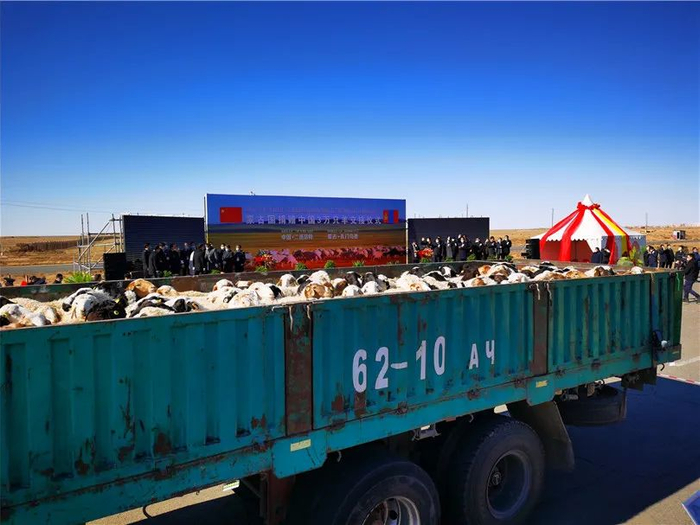 图片来源：央视新闻