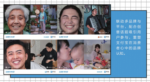 　蜂群文化 支付宝心智升级social传播