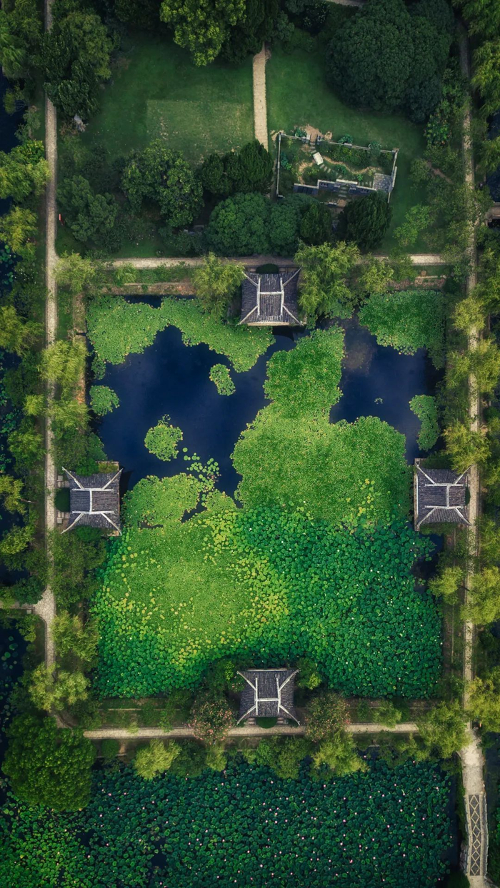 ▲ 俯瞰无锡蠡园四季亭。摄影/斧头哥