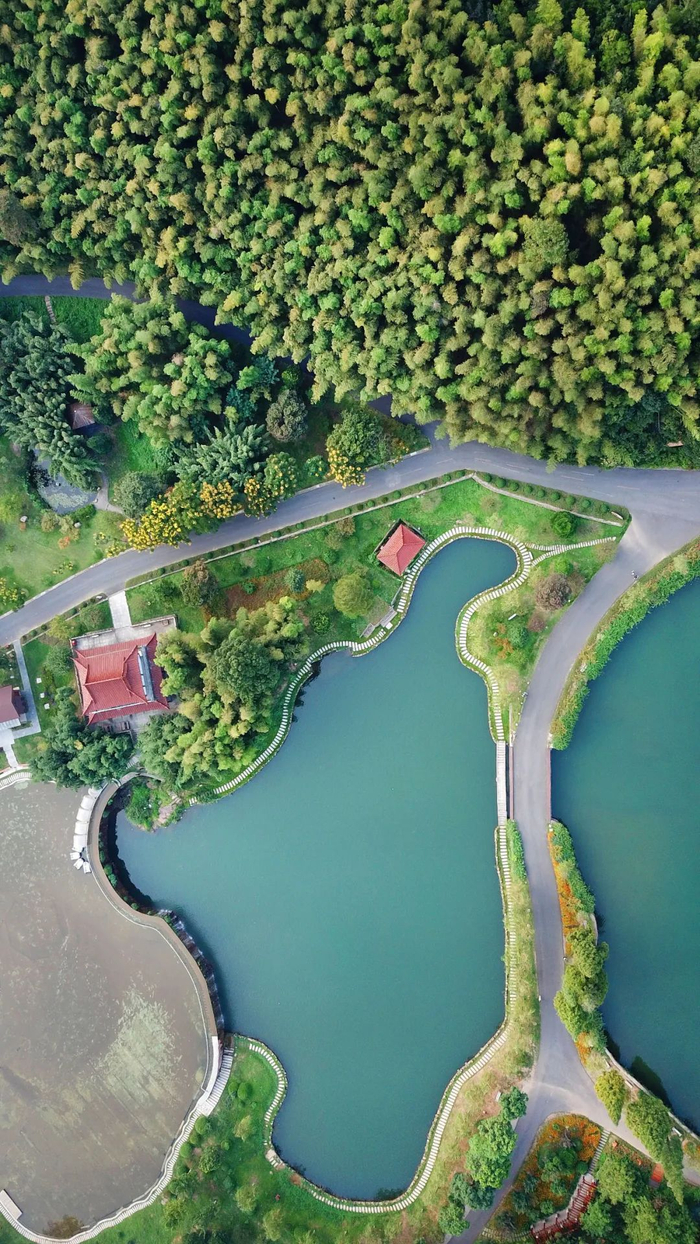 ▲ 宜兴竹海。图/视觉中国