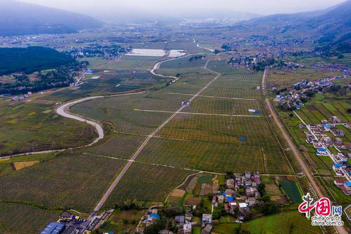 越西县现代农业（苹果）产业园区位于越西县大瑞镇瑞香村等7个村周边，是由广东佛山南海对口帮扶越西参与援建。中国网记者 郑亮摄