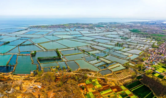 ▲ 微山湖南部，属江苏管辖的娄山岛和黄山岛。摄影/郑舟