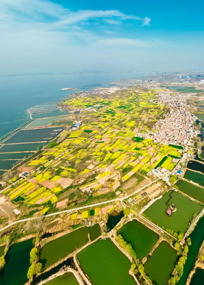 ▲ 航拍微山湖东岸的微山县马庄村。摄影/王新伟