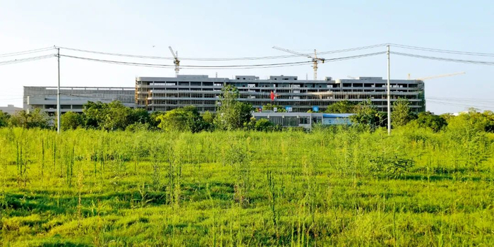 8月下旬，武汉临空港经济技术开发区内的弘芯项目建设工地。图/人民视觉