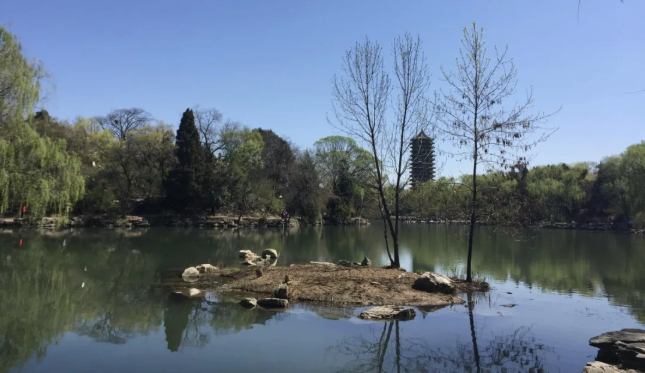 北京大学未名湖《企业观察报》图