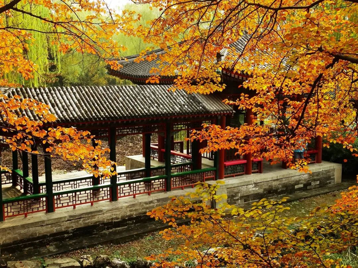 ▷ 颐和园秋景  /  图源自网络