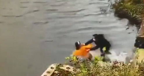 ↑网传视频截图