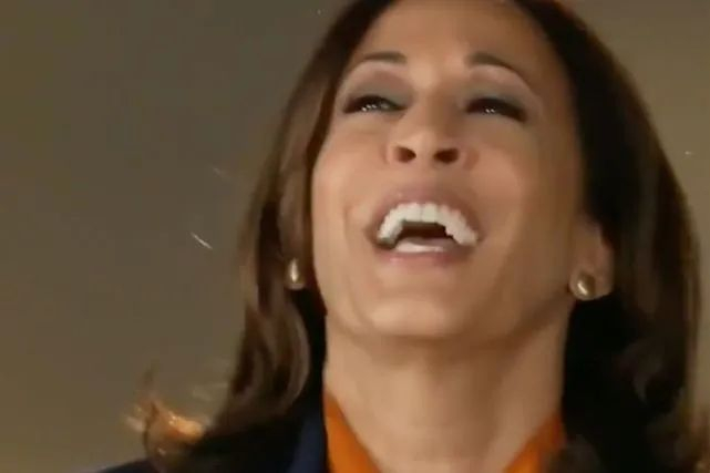 节目中的哈里斯 资料图